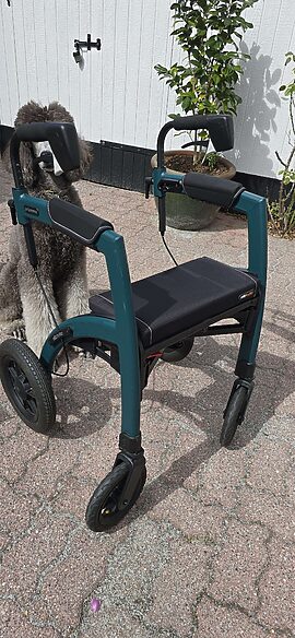 Rollz Motion Performance, brugt