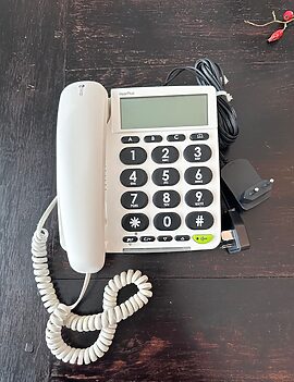 Doro 313